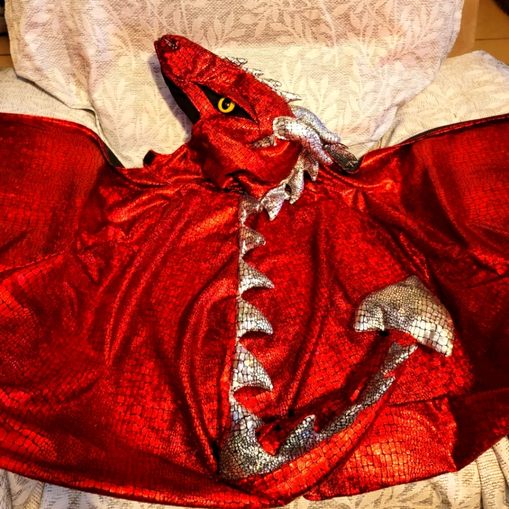 Red DRAGON halloween costume. 25$